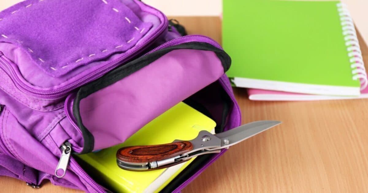 Watch the webinar ‘Dealing with safety at school: what works?’