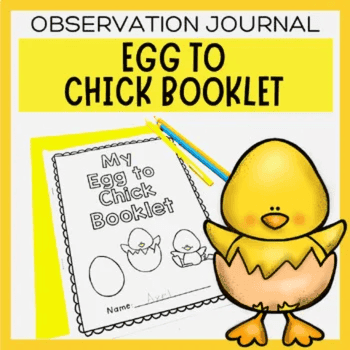 Elementary school Lesson Package | Egg to Chick Booklet Chick Hatching Observation Journal