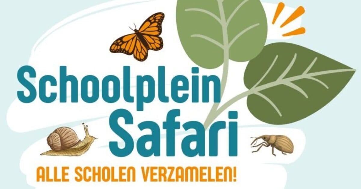 Primary school pupils in years 6, 7 and 8 at Schoolyard Safari