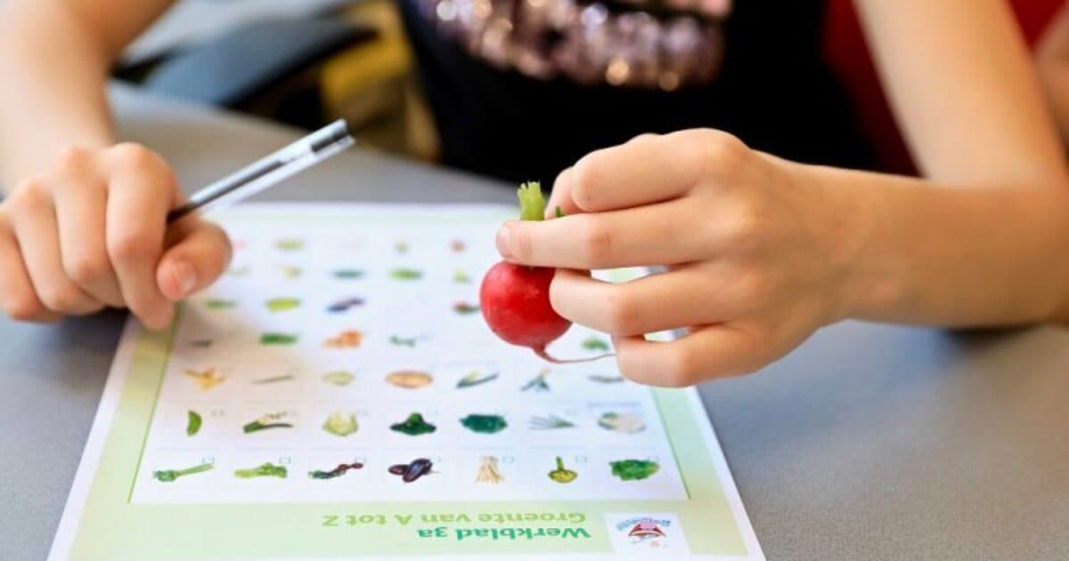 Wageningen University & Research can continue with Taste Lessons for another four years