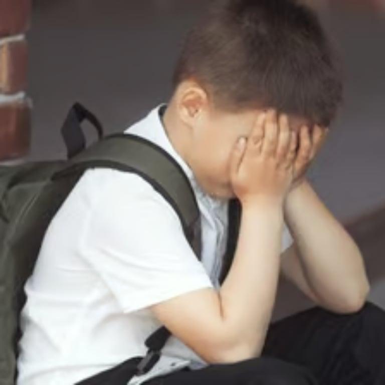 Elementary school Courses | Understanding Anxiety & Stress in Children & Young People