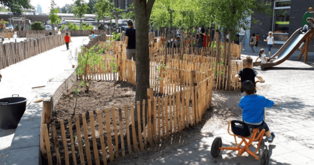 Almost all primary schools in Tilburg working on green schoolyards