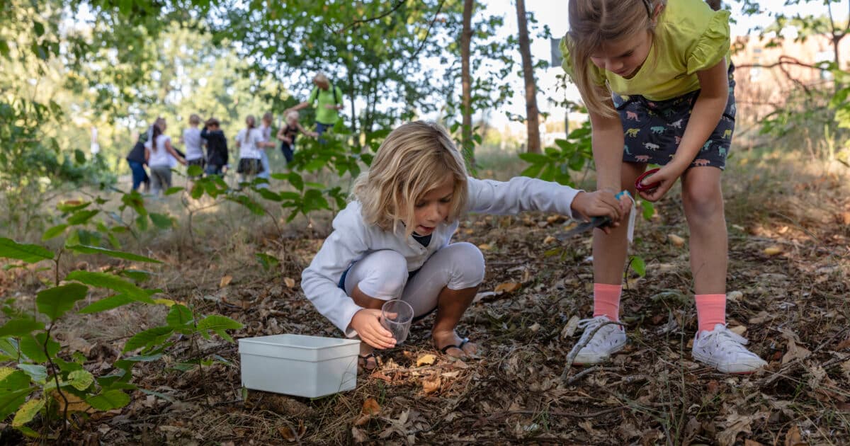 IVN Nature Education joins forces with primary education to promote the nature-rich school day