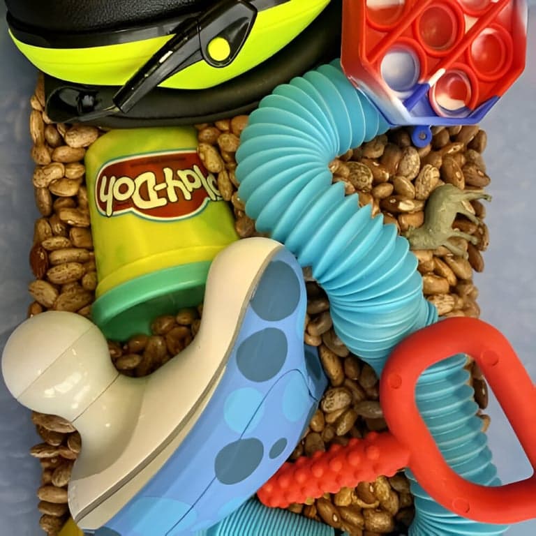 Elementary school Webinar | Sensory Integration – For Professionals (On-Demand)