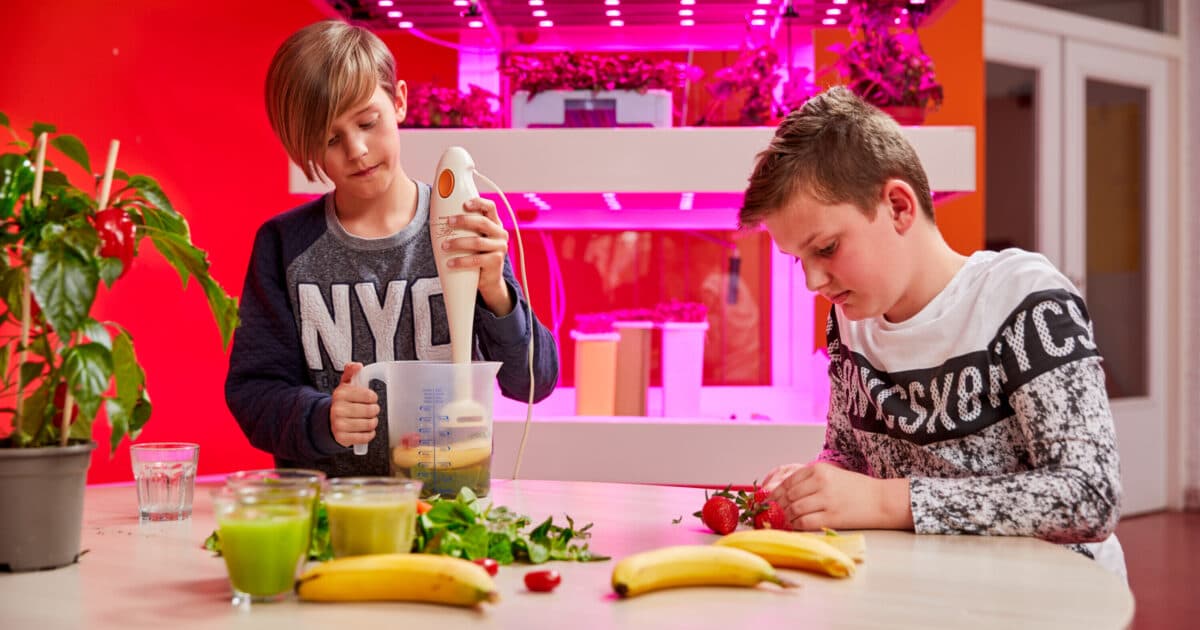 Space in the curriculum for innovative food education with GrowWizzKid