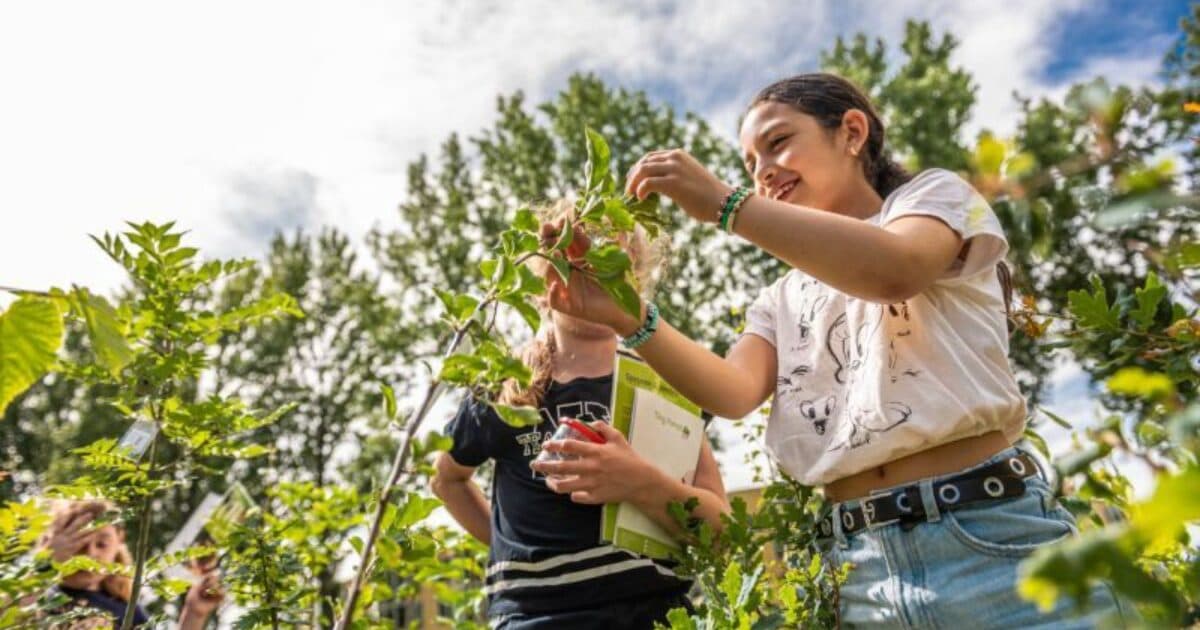 IVN Zeeland maps outdoor classrooms for primary schools