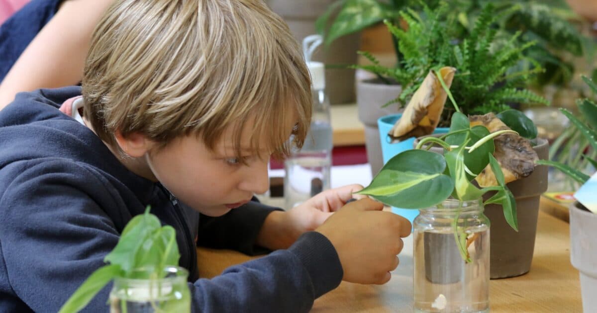 Every primary school should have an indoor forest for a better atmosphere and concentration