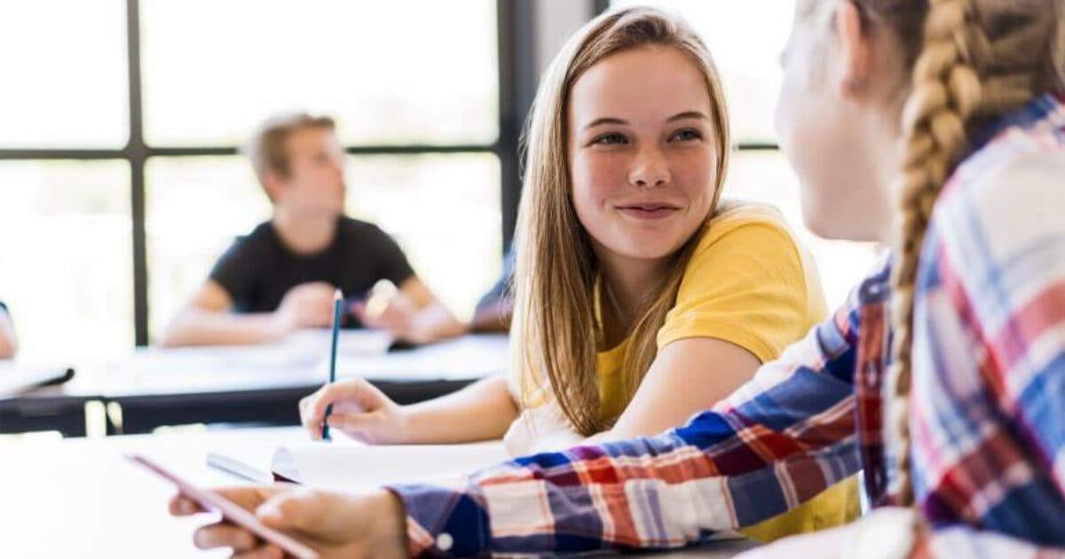 Implementation of Healthy School more successful at some schools than at others