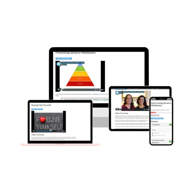 Elementary school Course | Overcoming Sensory Meltdowns Course