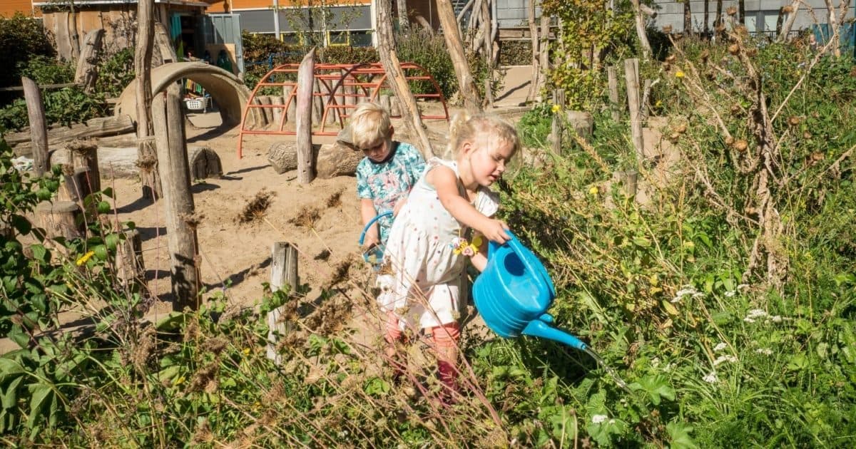 Province of Overijssel aims to green all schoolyards in 2025