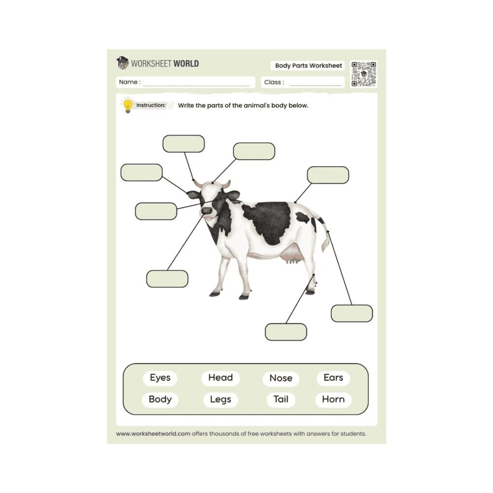 Elementary school Worksheet | Animal Body Parts