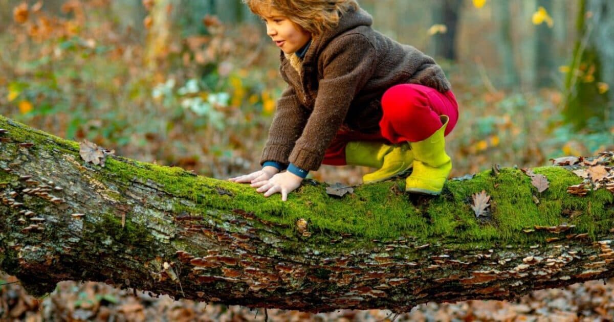 Incentive grant Get outdoors! for childcare