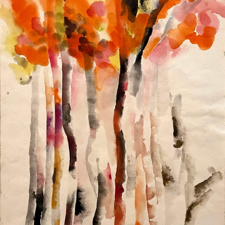 Elementary school Lesson Idea | Ruth Asawa: Imaginary Trees