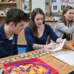 Promote Engagement in Science through Lesson Design