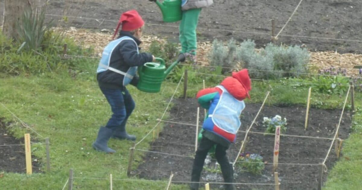 Regular primary schools wanted for school garden research