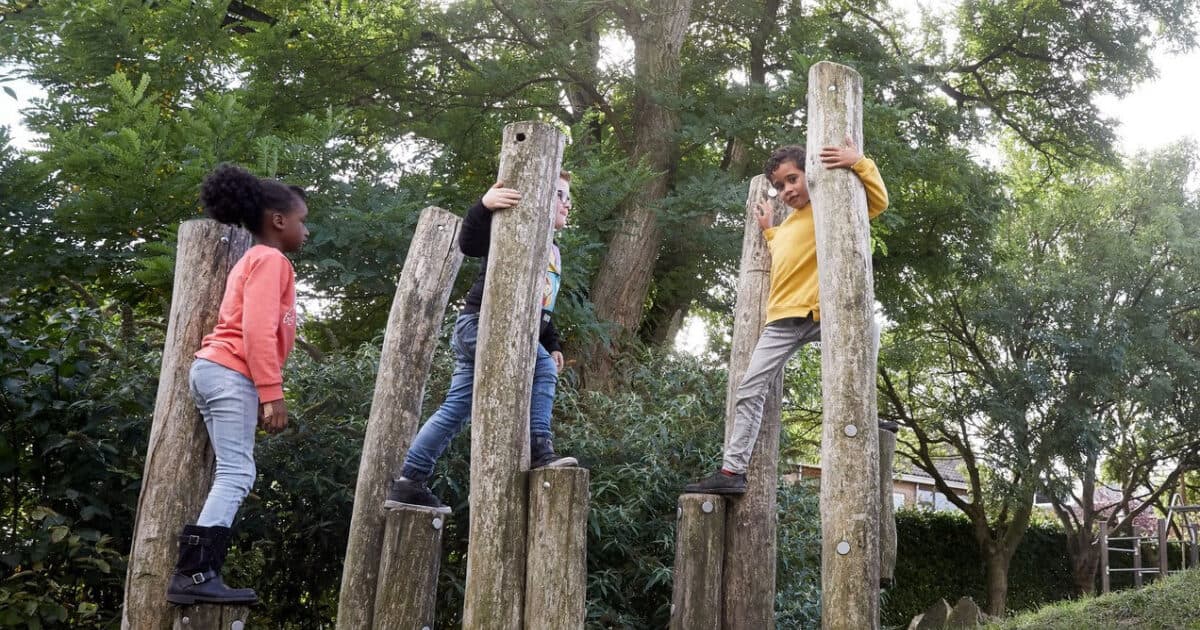 Improving motor skills in primary school with assessment and tracking systems