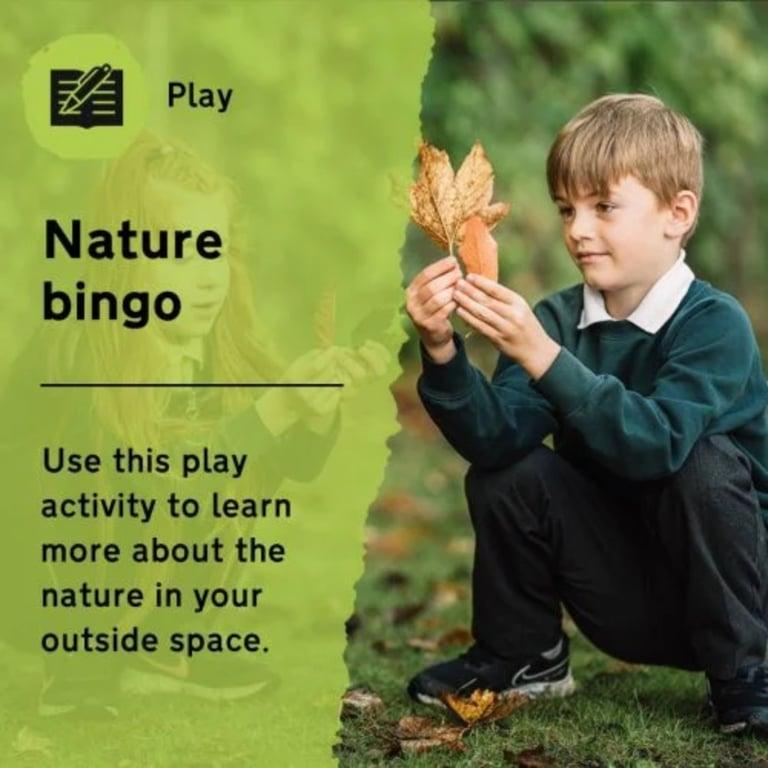 Elementary school Lesson Idea | Nature Bingo