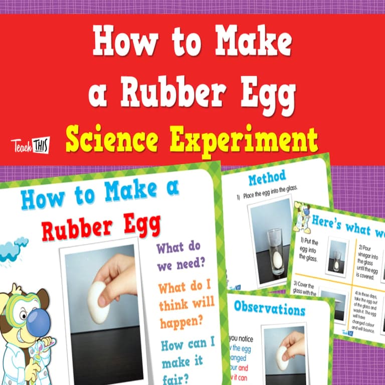 Elementary school Lesson Package | How to Make a Rubber Egg