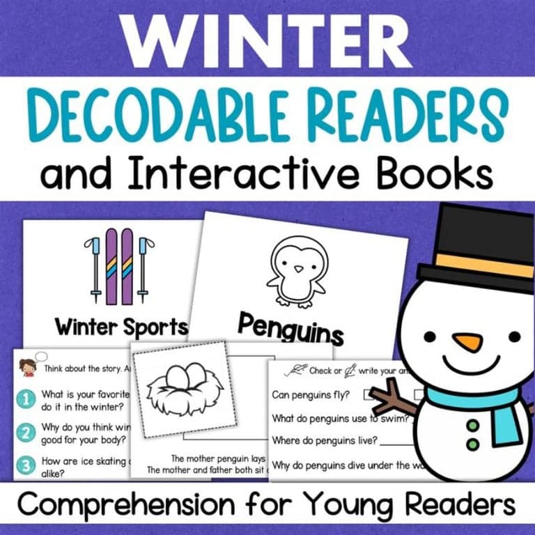 Elementary school Workbook | Winter Reading Comprehension Mini Books Decodable Stories With Questions