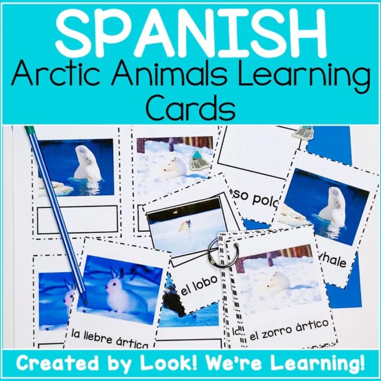 Elementary school Lesson Package | Spanish Arctic Animal Learning Cards