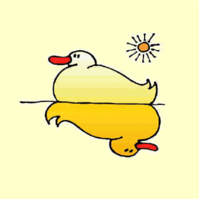 Elementary school Lesson Sequence | Light, Mechanics