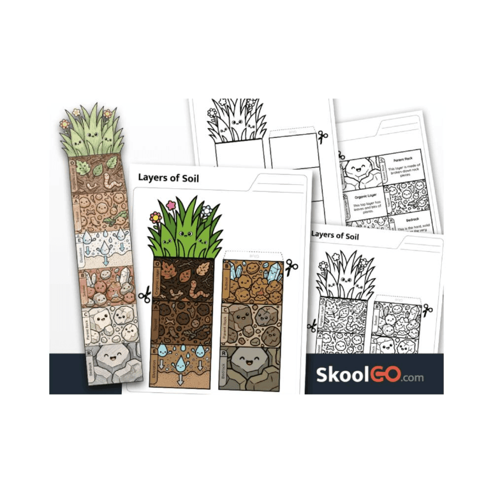 Elementary school Worksheet | Printable Layers of Soil Science Activity