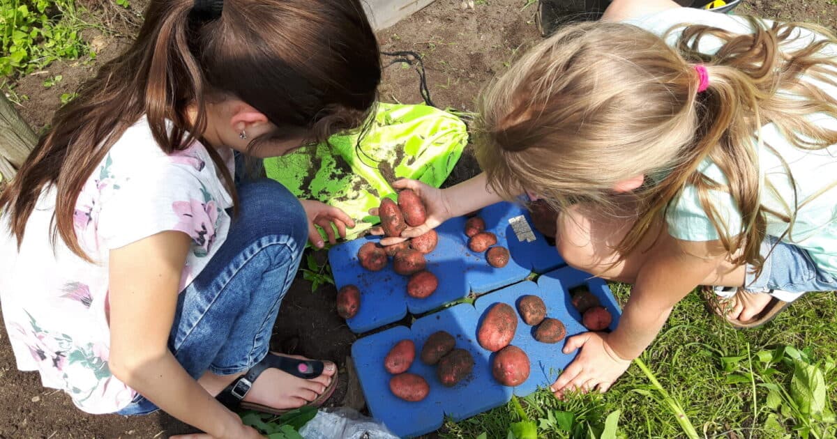 Ninth edition of National Outdoor Classroom Day on 9 April