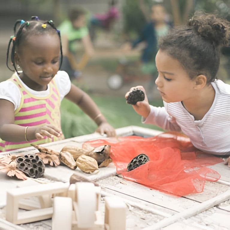 Elementary school Webinar | An Educator's Role in Play-Based Learning