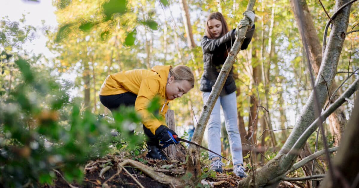 Outdoor activity in nature improves children's motor skills and health