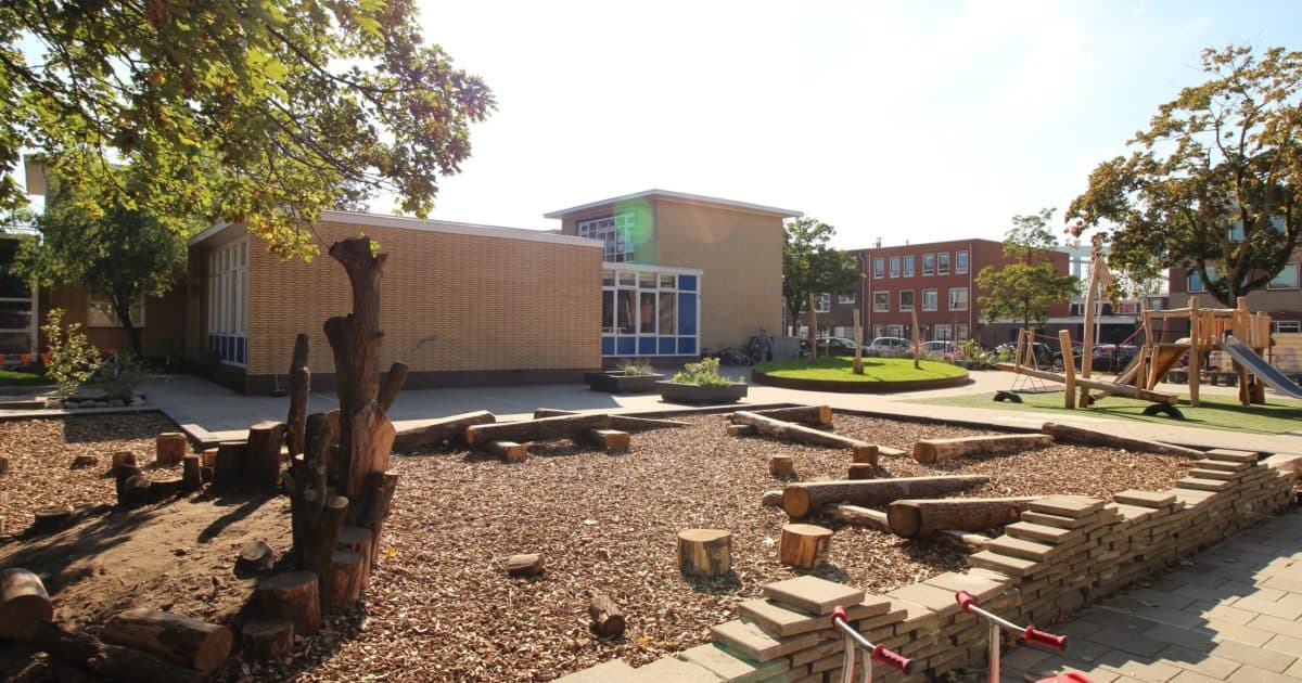 Needs Assessment: Healthy Schoolyard