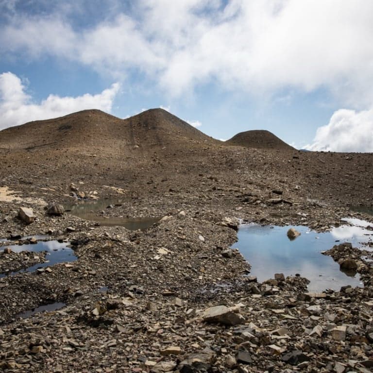 Elementary school Lesson Idea | No Child Left Inside Activity: Dig Into Soil