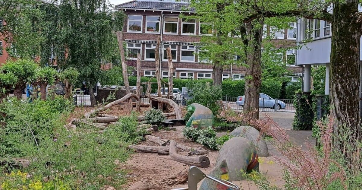 €5,000 from IVN and Jantje Beton for 10 schools to make their schoolyards greener and more playful