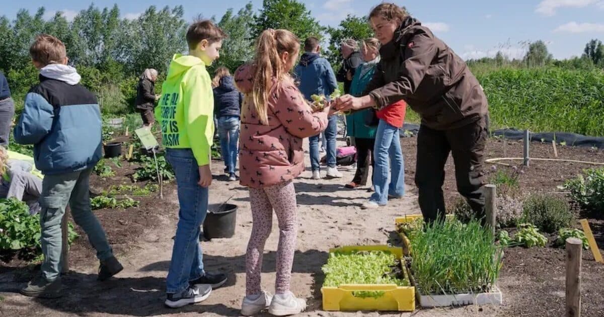 School Garden START weeks