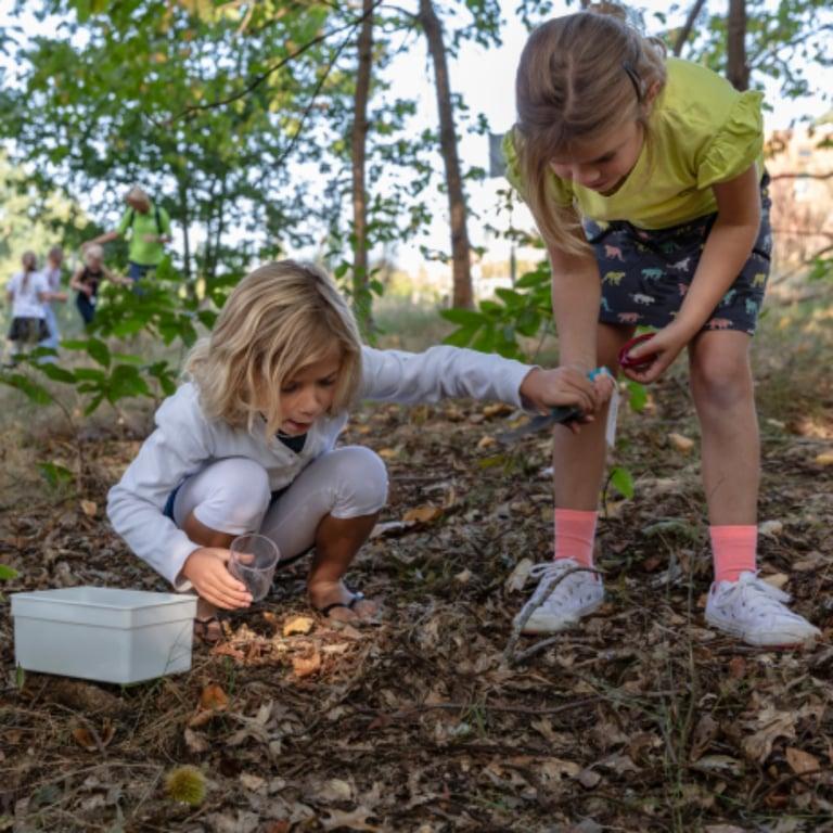 Elementary school Training | Van Binnenles Naar Buitenles