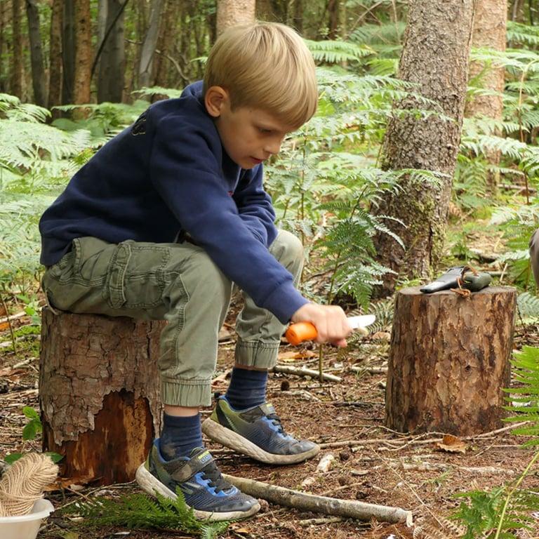 Elementary school Course | Forest School Activities Online Training