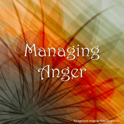 Elementary school E-learning | Working With Anger in Educational Settings