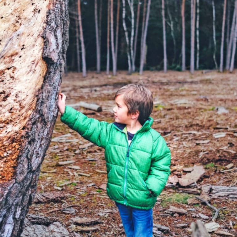 Elementary school Lesson Idea | Comparing Life in Different Habitats