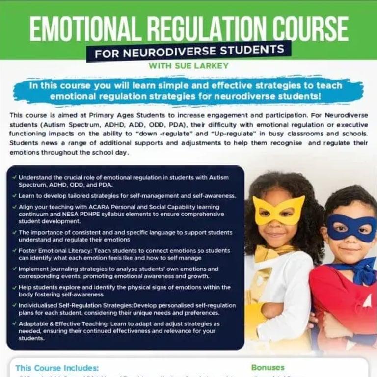 Elementary school Course | Challenging Behavior in the Classroom: Emotional Regulation Course for Neurodiverse Students