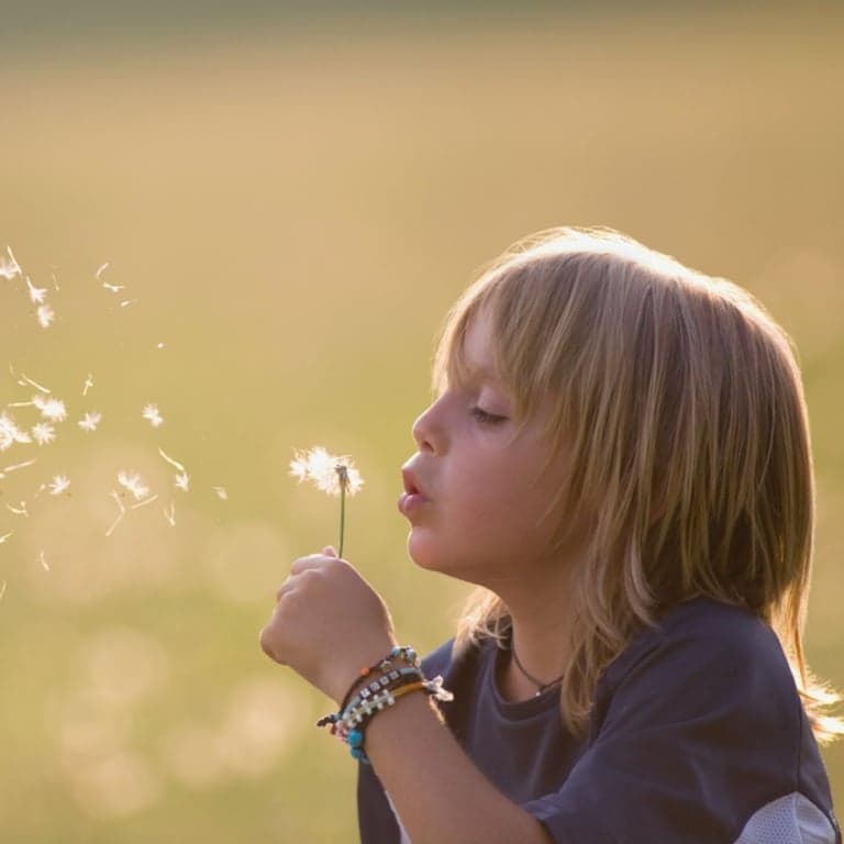 Elementary school Training | Highly Sensitive Child Practitioner: Professional Training 