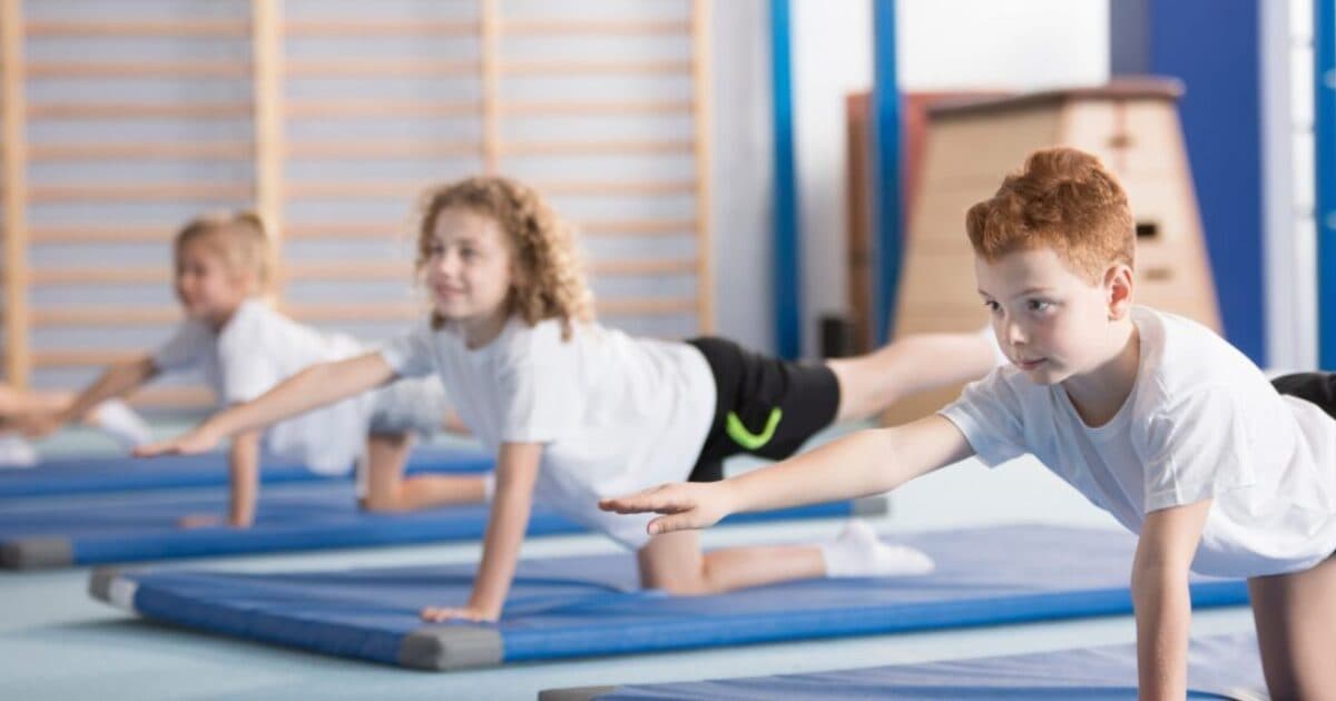 Benefits and added value of sport and physical activity in primary education