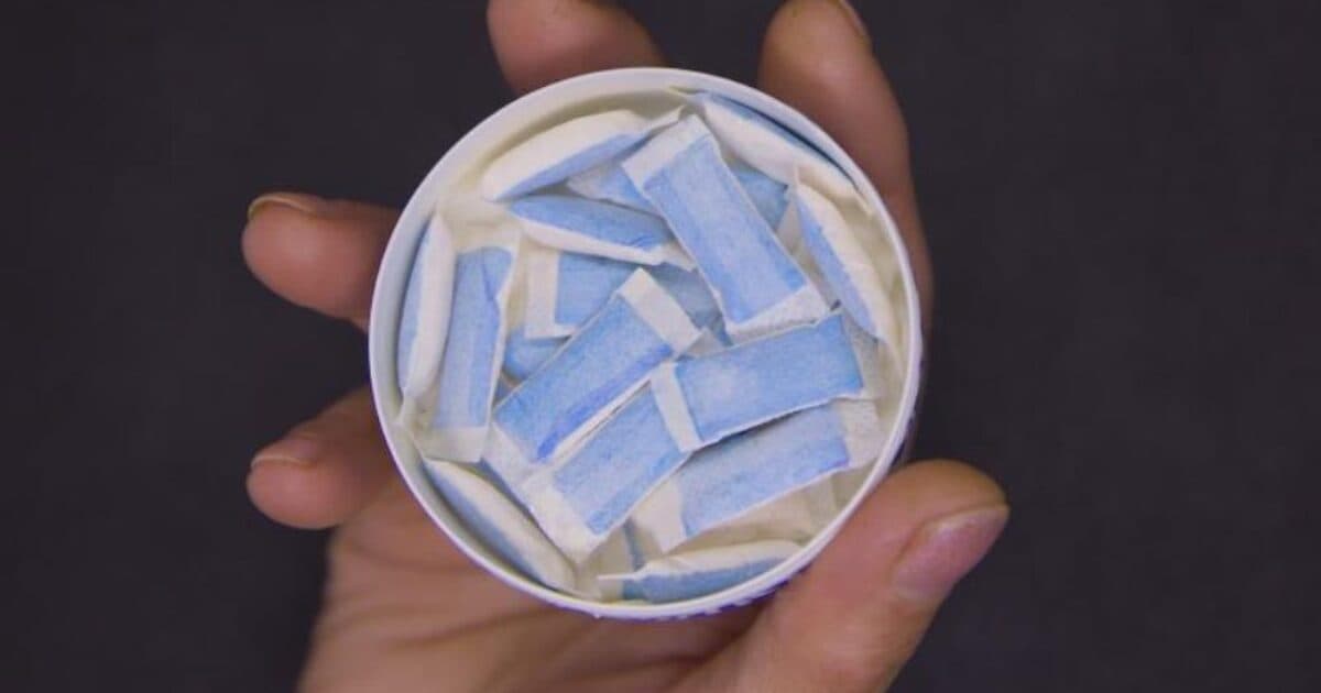 Nicotine pouches in secondary schools