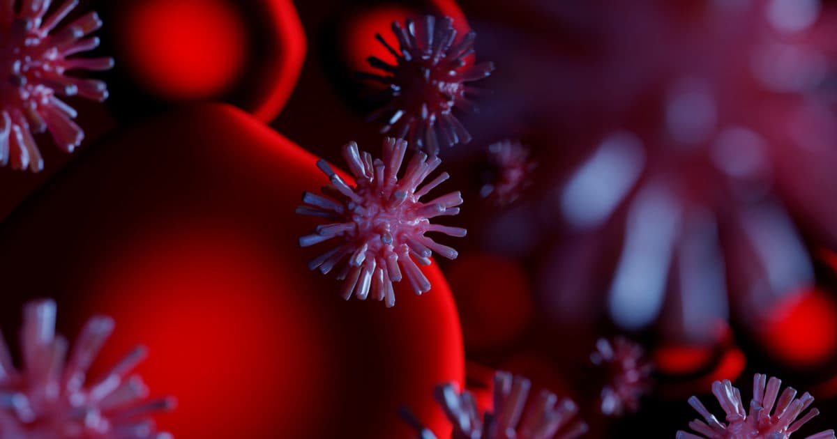 Schools and the coronavirus
