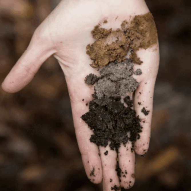 Elementary school Lesson Idea | How Dirt Works