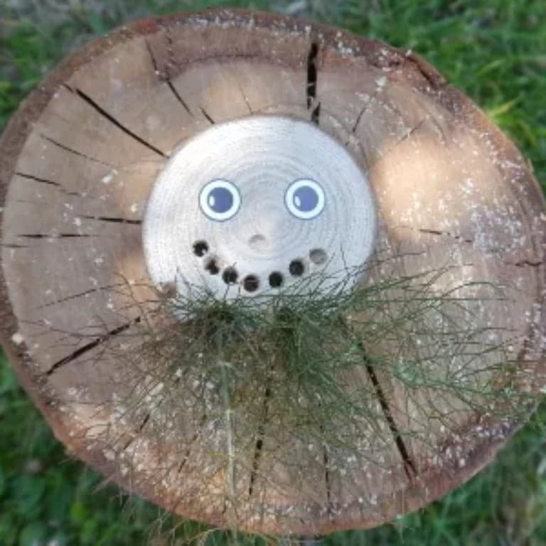 Elementary school Lesson Idea | Disc Creatures