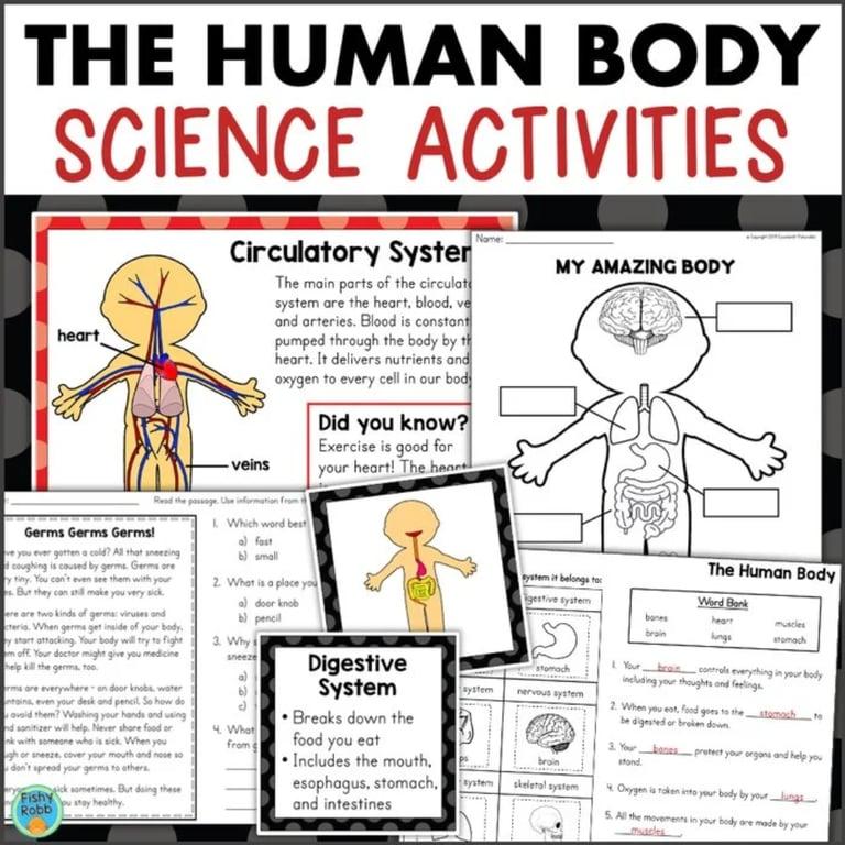 Elementary school Lesson Package | Human Body Activities Worksheets Posters 2nd & 3rd Grade