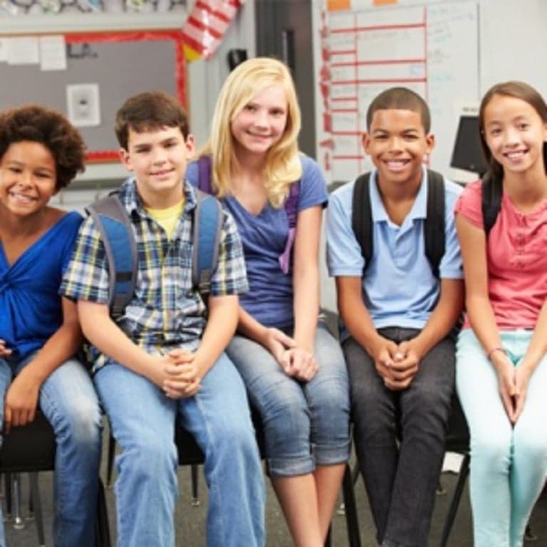 Elementary school Course | Differentiated Instruction (10 Hours)