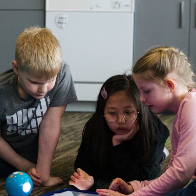 Elementary school Lesson Idea | Is it a Magnet?