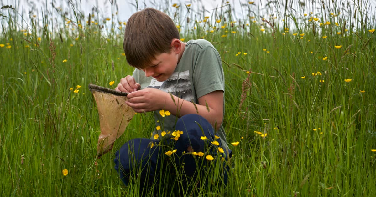 Biodiversity of aquatic life in ditches appears to be declining