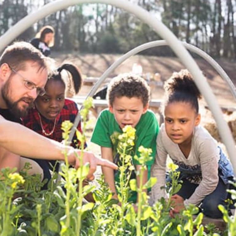 Elementary school Lesson Idea | Measurement and Geometry in the Garden K, 1st & 2nd Grade