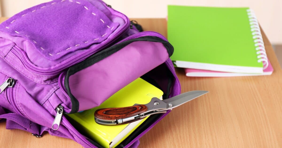 Call for participation: Share your views on crime at school